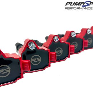 Pumaspeed V2 Racing sada cívek Focus ST RS Mk2