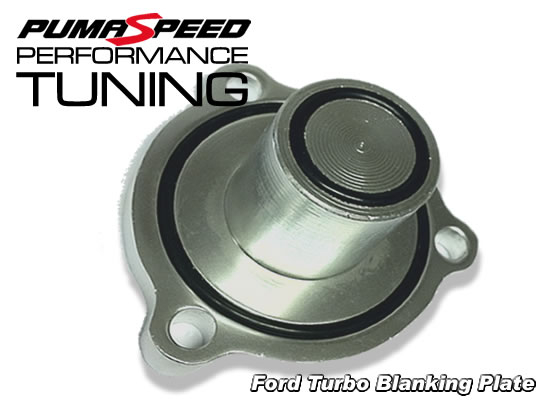 Pumaspeed Turbo Blanking Plate pro 2.5 Duratec
